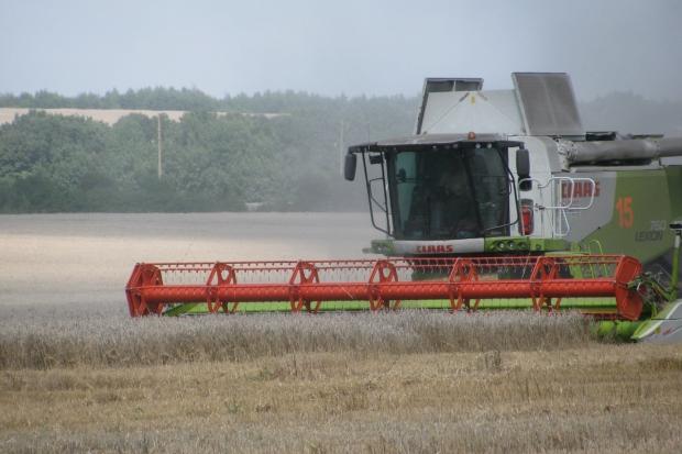 Жнивує ТзОВ "Даноша" | Фото: http://visti-kalush.com.ua/