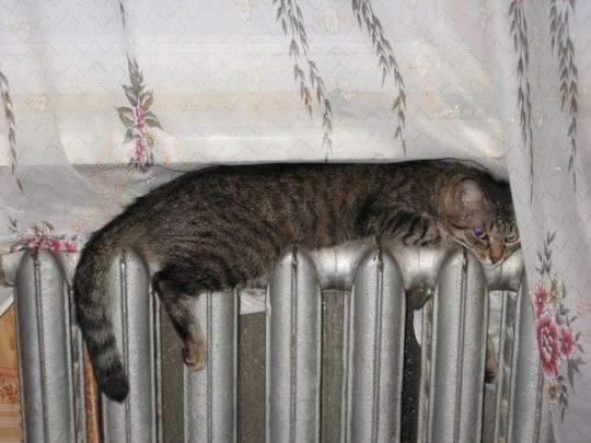  | Фото: echokirova.ru