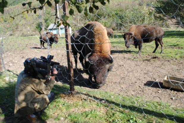  | Фото: Надія Балагурак