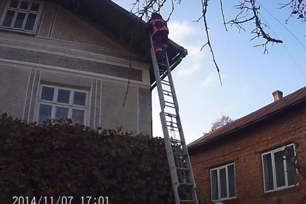  | Фото: Управління ДСНС