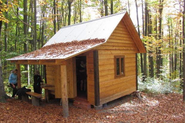  | Фото: kosivart.if.ua