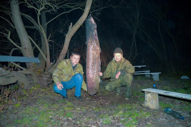  | Фото: styknews.info