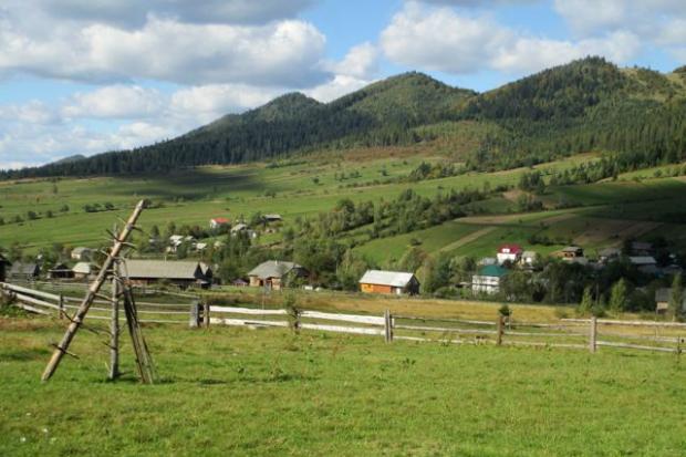  | Фото: terram.com.ua