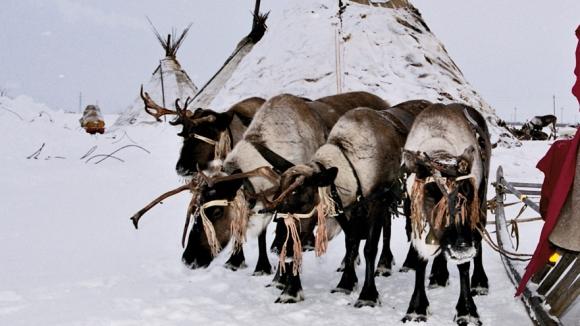  | Фото: izvestia.ru