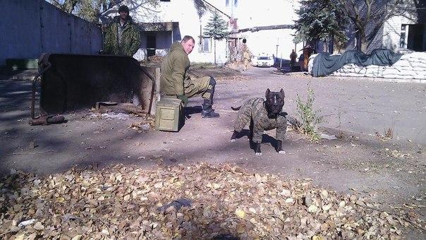  | Фото: pohlyad.com