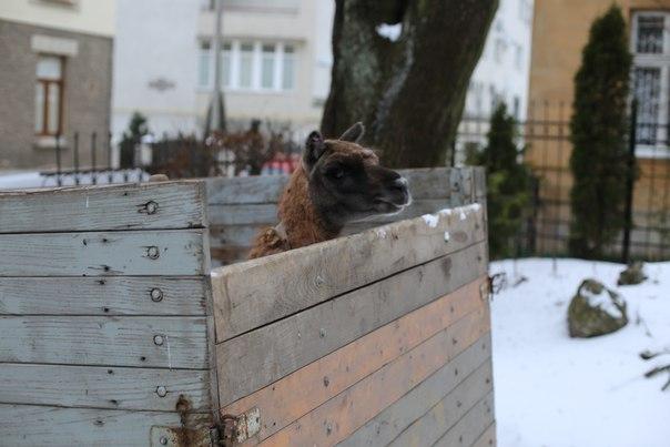  | Фото: gazeta.ua