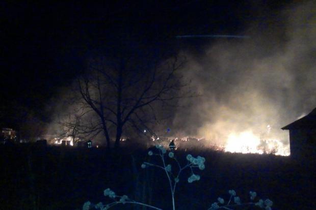  | Фото: Тетяна Грегораш