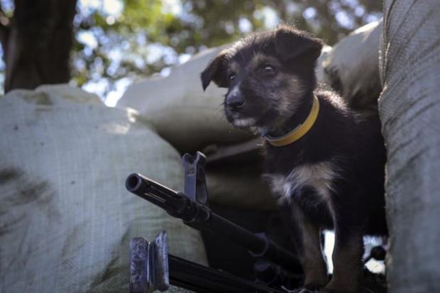  | Фото: radiosvoboda.mobi