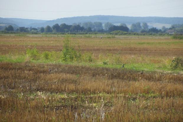 Мисливські угіддя "Галичан"