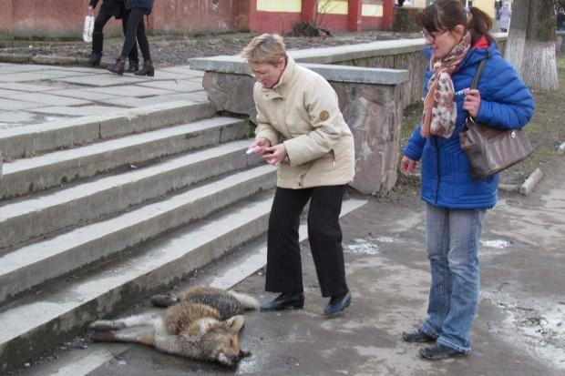 Наталія Ільків та Леся Мартиненко вже ніим не можуть допомогти отруєному собаці. Калуш, центр міста, 5 березня 2015 року