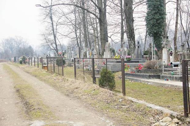  Болехівська міська рада хоче звернутися до обласної ради з клопотанням надати кладовищу статусу некрополя | Фото: прес-