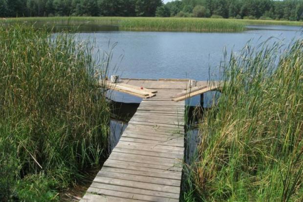 У Калуському районі &mdash; два великих рибних господарства: ПрАТ "Бабин-Риба" та КСП "Рибгосп "Зава