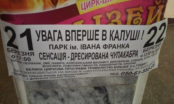 Виступ дресированої чупакабри обіцяють калушанам | Фото: із соцмереж