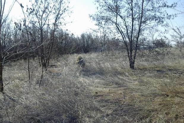 Маскувальний костюм військові уже приміряли | Фото: Віктор Павлів/Facebook