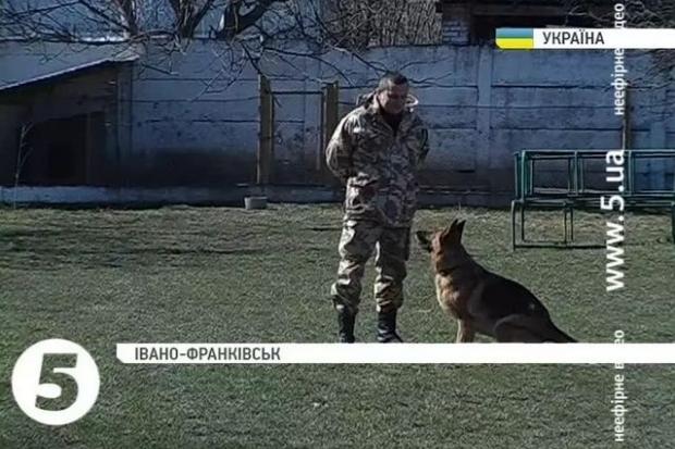 Першою, ще в серпні минулого року, до роботи на блокпостах Донбасу залучили вівчарку Хайкі 