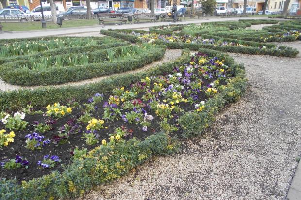 ПрАТ "Зелене господарство" до 10 квітня виконає роботи з влаштування квітників з віоли в центральній частині м