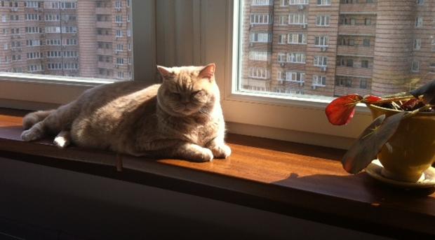 Циклон ще зумовить вологу погоду, він принесе  в південну частину, східні області та центр України сильні дощі та штормо