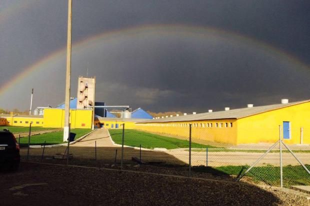 Неймовірна веселка цього тижня змусила користувачів соцмереж зафіксувати це диво природи | Фото: Per Knudsen/Facebook