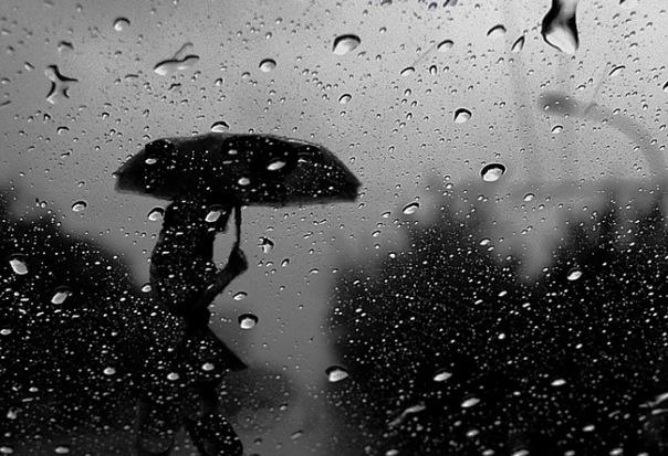 Весна припізнилася. Синоптики обіцяють мокрий сніг і заморозки | Фото: np.pl.ua