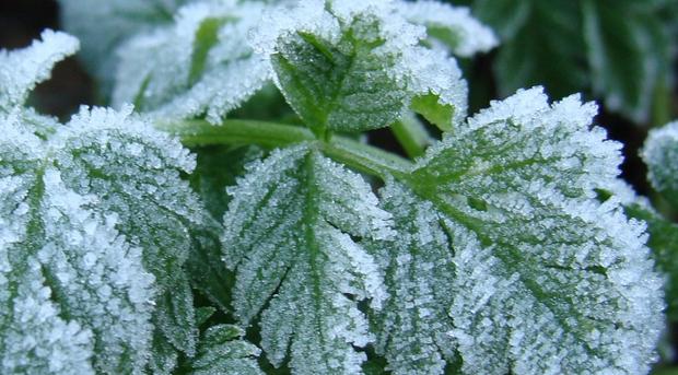  | Фото: http://opogode.ua/