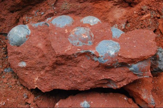 У місті Хеюань з 1996 року при розкопках було виявлено майже 17 000 яєць доісторичних ящерів | Фото: gizmod.ru