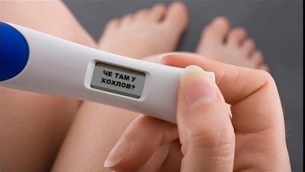 Мережу заполонили двовірші із хештегом "а че там у хохлов", які висміюють надмірну цікавість росіян до подій в