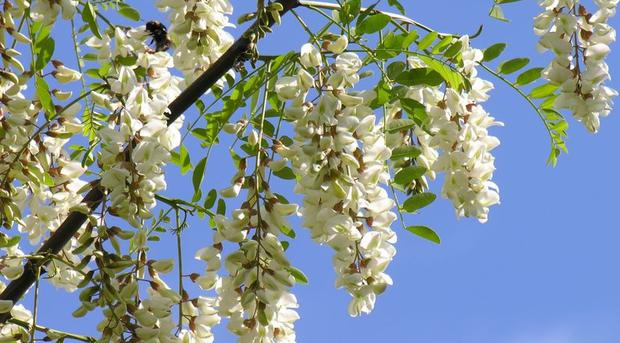 Лише на сході ще переважатиме спека, 24-29 градусів тепла