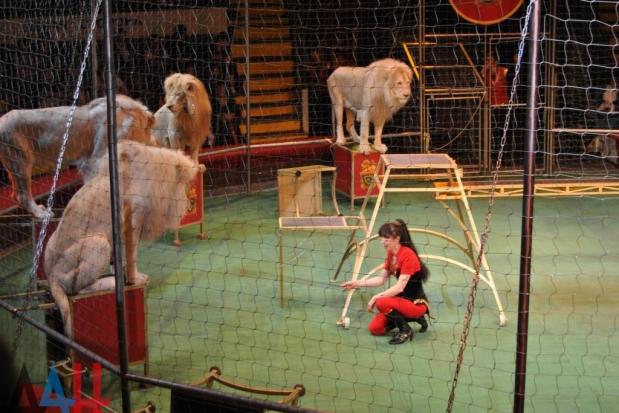 У  "ДНР" приїхав цирк | Фото: http://dan-news.info/