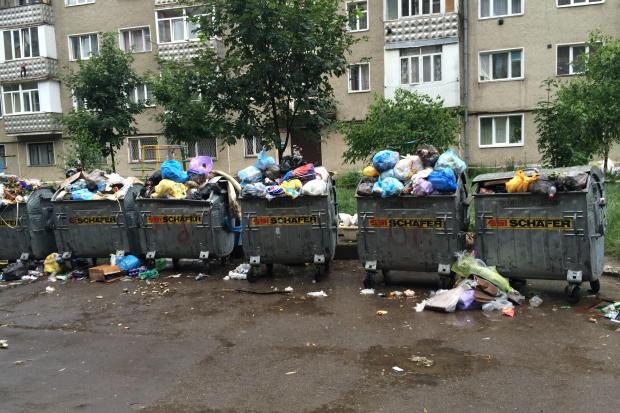 Переповнені смітники у цьому дворі &mdash; за будь-якої погоди. А позаду них &mdash; турніки і перекладини для дітей | Ф