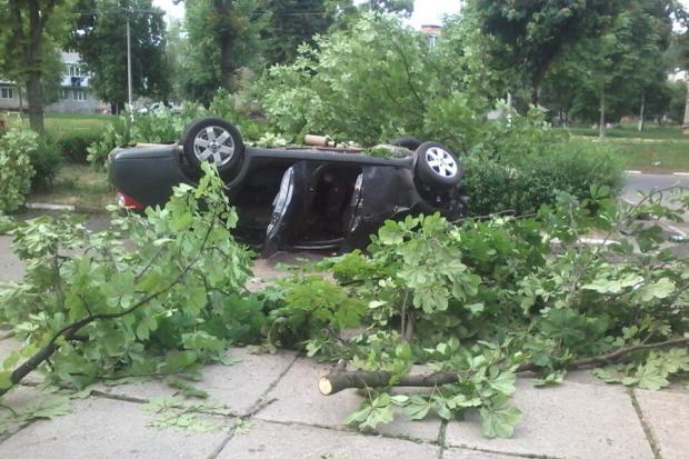 Водій перевищив швидкість і, не впоравшись з керуванням, в'їхав у дерево, розповідають очевидці. | Фото: vk.com/kal