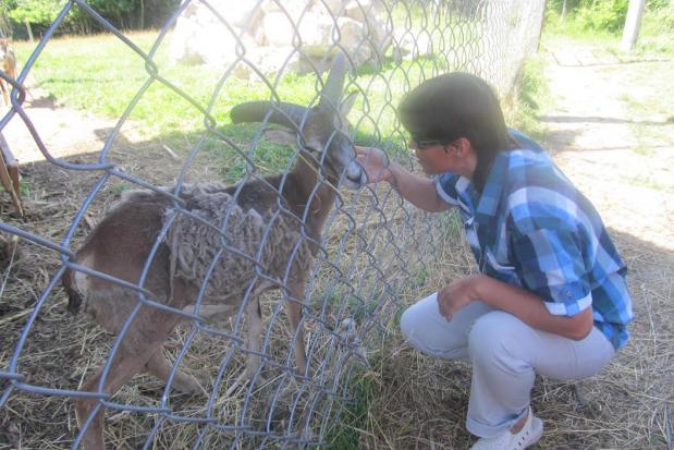 Відвідавши парк, молодь мала можливість не тільки побачити цікавих тварин і птахів, а й збагатити знання про представник