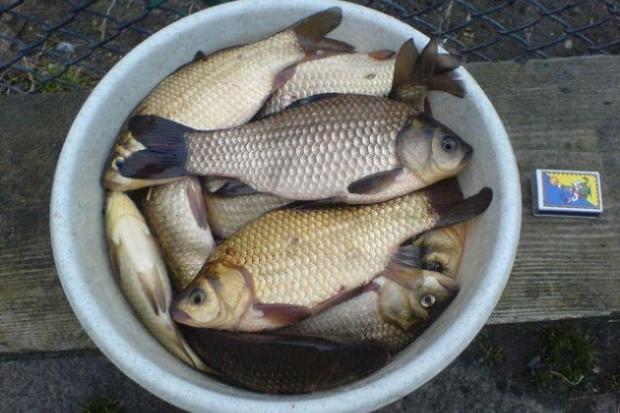 Риболови на Прикарпатті можуть відкривати літній сезон. 
 | Фото: З архіву "Вікон".