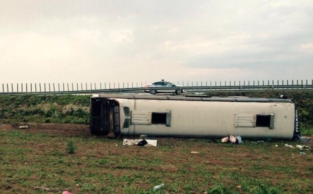 За попередньою версією, водій заснув за кермом і в'їхав у кювет. | Фото: 61.mvd.ru