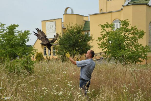 На волю випустили кілька видів птахів | Фото: Центр реабілітації диких тварин Галицького національного природного парку