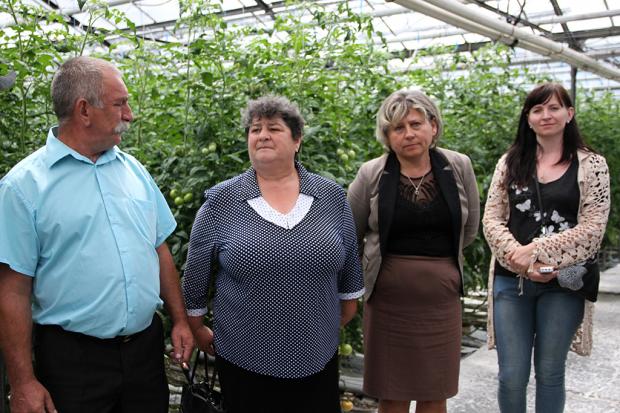 Упродовж 30 років підприємство займається вирощуванням овочів у закритому грунті | Фото: прес-служба ОДА