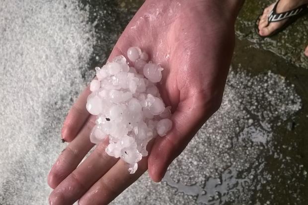 Франківці в соцмережах активно діляться світлинами  | Фото: firtka.if.ua, stanislavske.tv