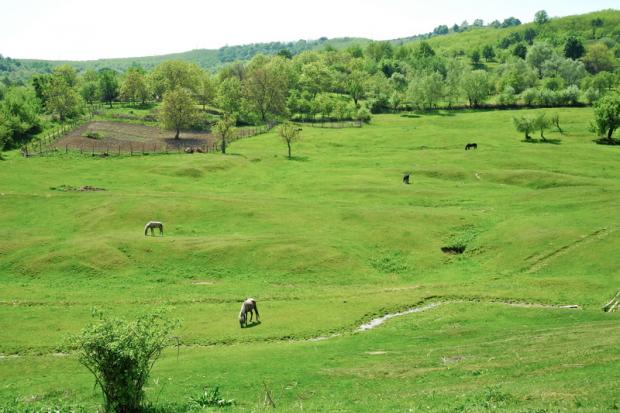 Як мінімум, з 2010 року Калуська міська рада не надала жодної земельної ділянки для ведення особистого селянського госпо