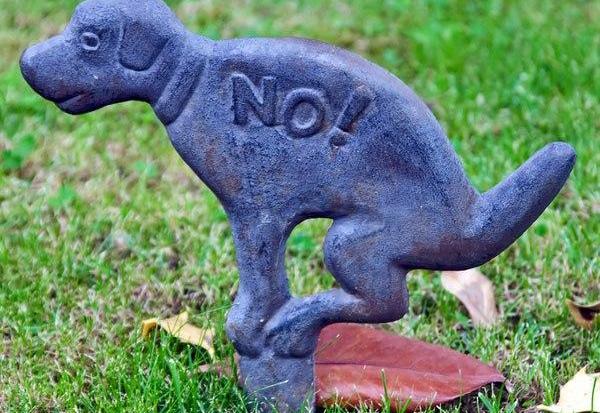 Еко-проект &laquo;Встановлення спеціальних станцій для прибирання за собаками&raquo; переміг у всеукраїнському конкурсі.