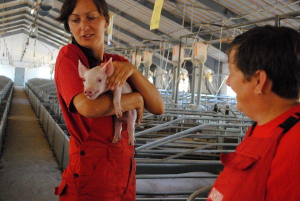 Для підтримки високого статусу здоров&rsquo;я усі працівники ферм "Даноші" повинні дотримуватися обов&rsquo;яз