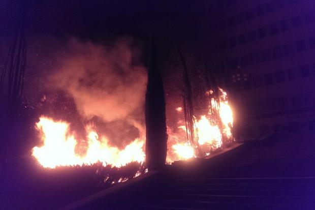Палають дерева та квітники. | Фото: galka.if.ua