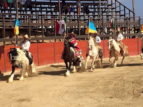На стадіоні для родео у мексиканському штаті відбувся своєрідний парад із прапорами України  | Фото: Good News on Ukrain