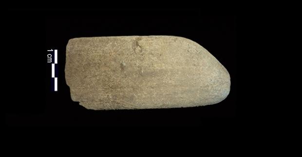 Стародавні люди готували борошно до появи землеробства.
 | Фото: Stefano Ricci