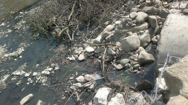 Верховинці просять допомоги в екологів та захисників природи, бо самостійно вирішити проблему не можуть | Фото: verchovy