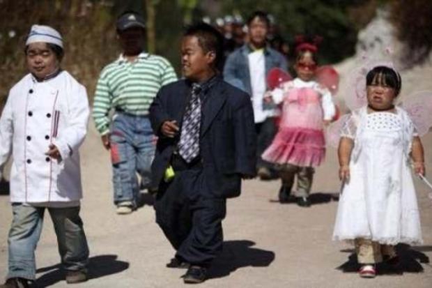 Щоб з'ясувати причини незрозумілою епідемії, вчені брали проби води, ґрунту, зерна та проводили дослідження. Однак 