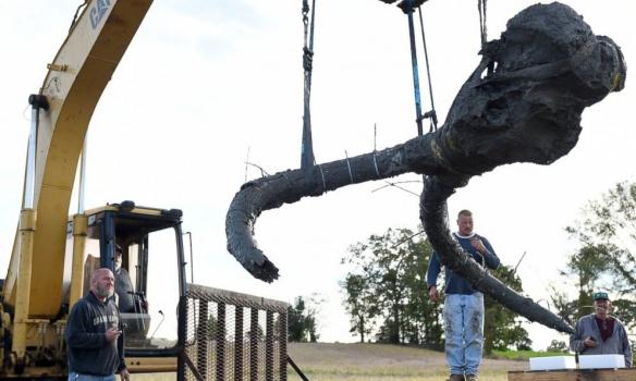 Крім студентів та науковців, в операції з вилучення із землі кісток тварини брала участь важка техніка | Фото: gazeta.ua