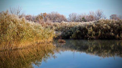 На Прикарпатті очікується значне похолодання