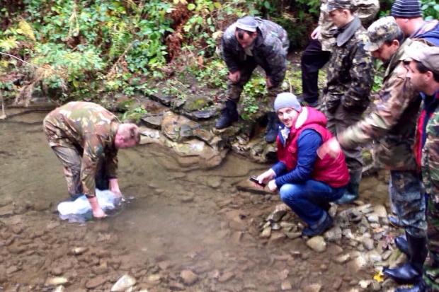 Основною причиною майже повної відсутності форелі в яремчанських річках є надзвичайно висока забрудненість води, зазнача