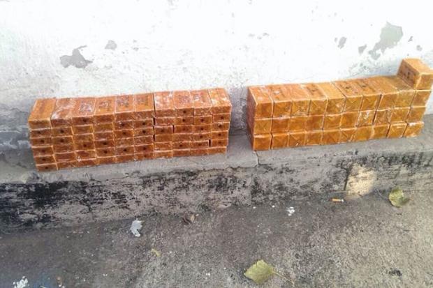 Схованку знайшли у лісосмузі поблизу села Зайцеве на Донеччині | Фото: прес-центр СБУ