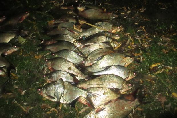 Браконьєрський улов вже складався з 47 лящів та 6 пліток | Фото: Прес-служба Івано-Франківської рибохорони