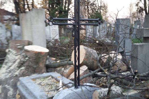  | Фото: Денис Кизимович